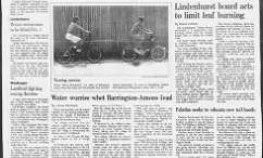 Lindenhurst Board Acts To Limit Leaf Burning