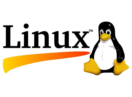 Microsoft Fights Piracy In China, Linux Wins